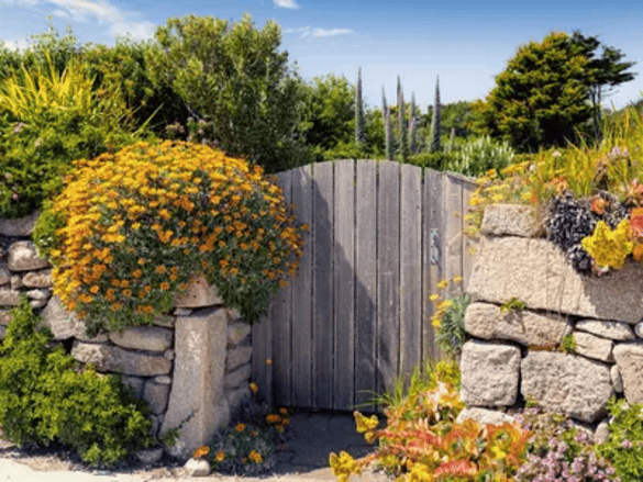 Hapag-Lloyd Cruises Ms Europa Park & Garden.png